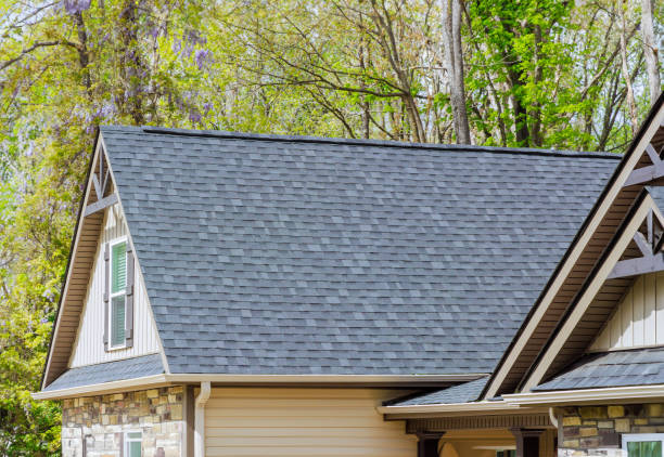 Best Sheet Metal Roofing  in Kentwood, MI